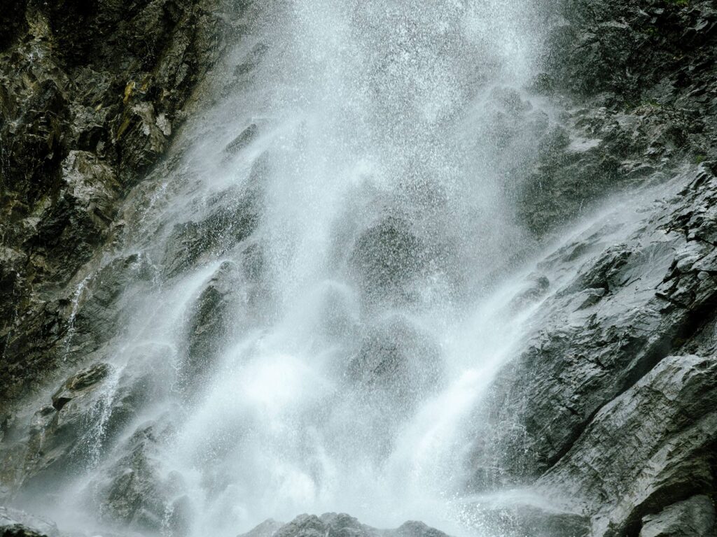 Bruno Augsburger 4D Ranch Idaho Bruno Augsburger